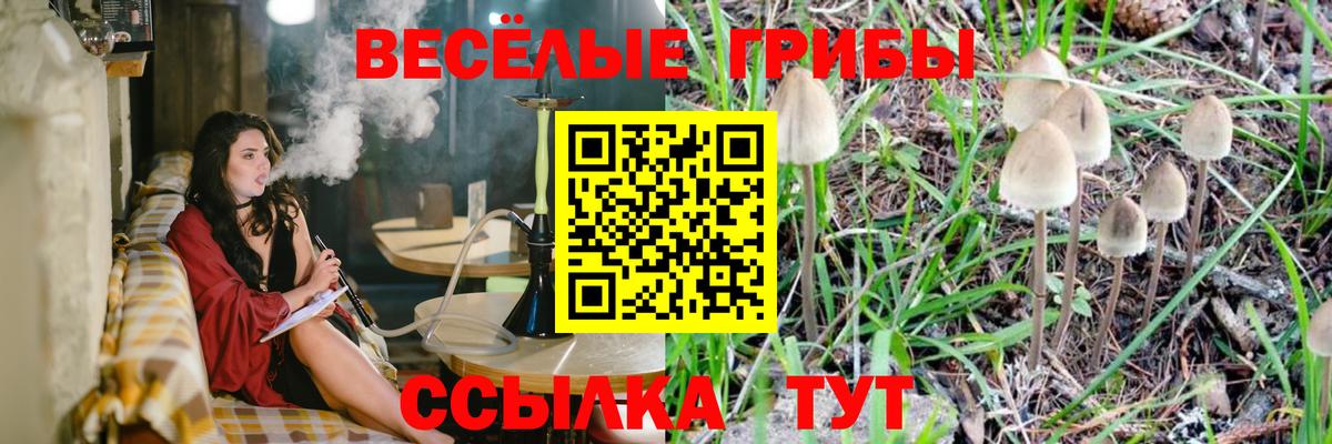 Псилоцибиновые грибы мицелий Заречный