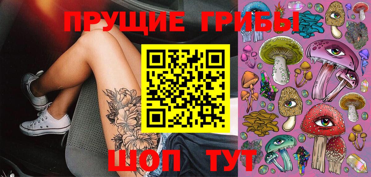 Псилоцибиновые грибы мицелий  Вход с VPN  Заречный  Галлюциногенные грибы MAGIC MUSHROOMS 