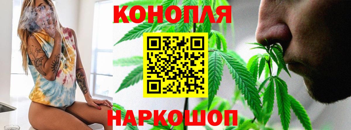 Бошки марихуана планчик  Бошки марихуана конопля  Заречный  Вход с VPN  МАРИХУАНА гибрид  Марихуана сатива 